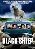 Black Sheep